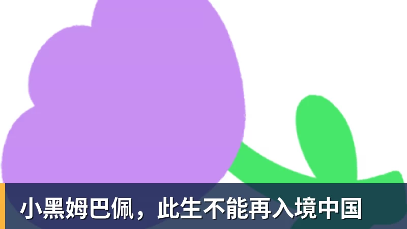 距离屋顶仅12.5米!两架客机低空掠过5.5万人体育场 - 爱游戏体育 - 爱游戏官方网站