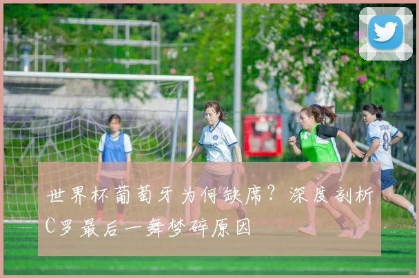 在线买世界杯平台