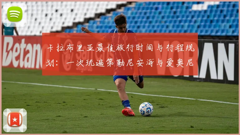 在线买世界杯平台